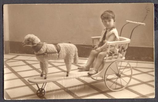 Boy Child in Lamb Stroller