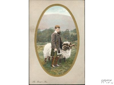 Boy in Kilt with Shetland Ram