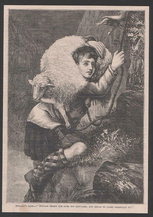 Boy Saving a Sheep