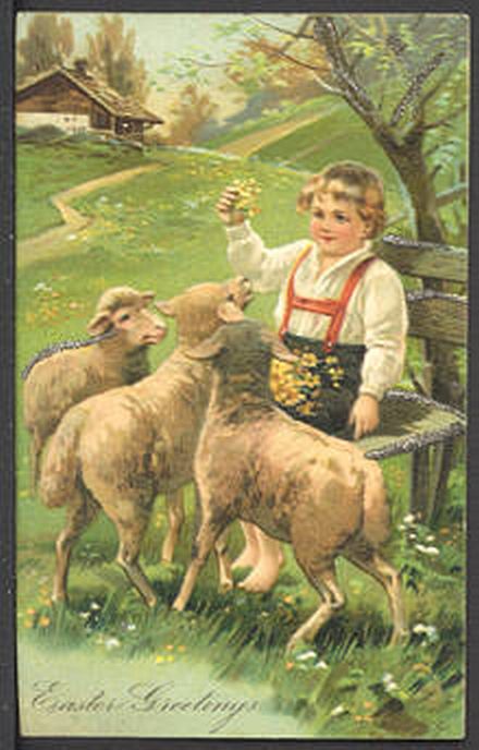 Boy with 3 Ewe Lambs