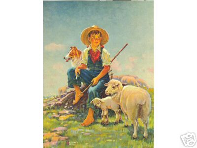 Boy with Collie and Sheep