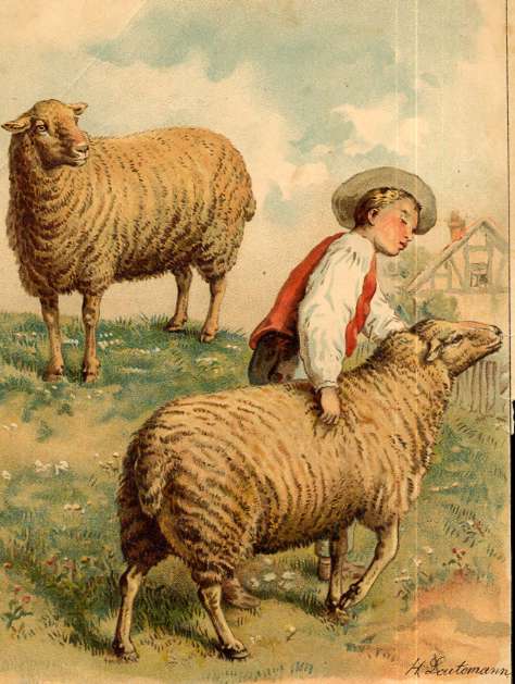 Boy with Sheep Litho