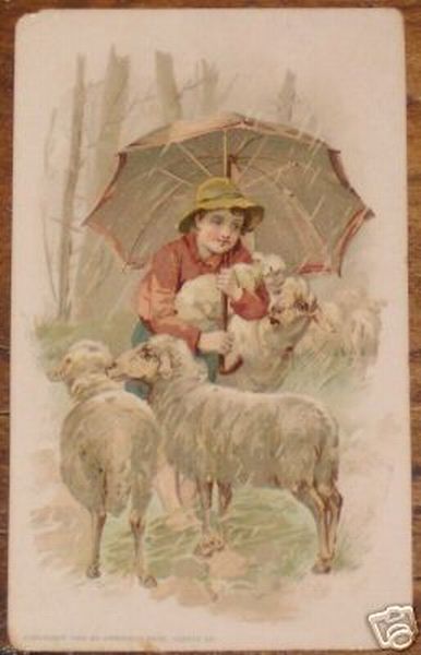 Boy with Umbrella and Sheep