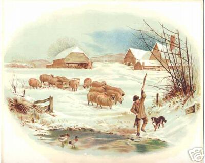 Breaking Ice Sheep Farm Winter Scene