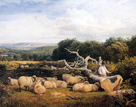 Bred Ewe Flock