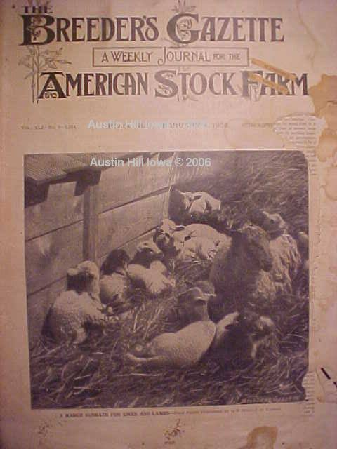 Breeders Gazette Feb 5 1902 American Stock Farm Sheep