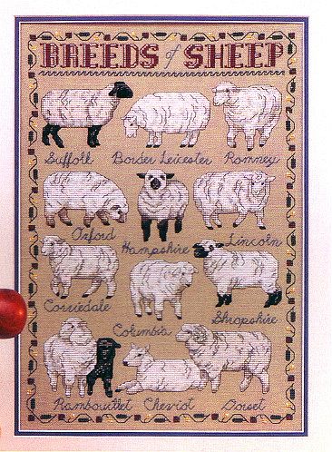 Breeds of Sheep