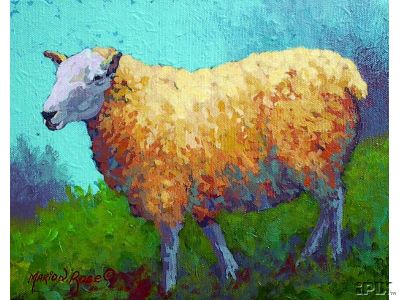 Bright Sheep