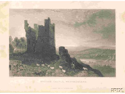 Brough Castle Sheep