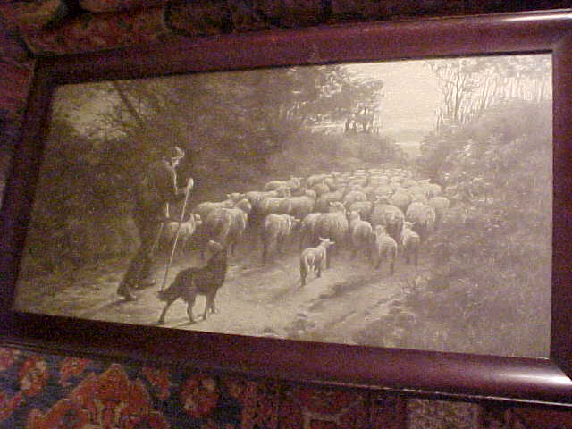 Bucolic Shepherd and Sheep