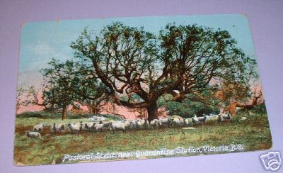 Canada Postcard Sheep Quarantine Station Victoria BC