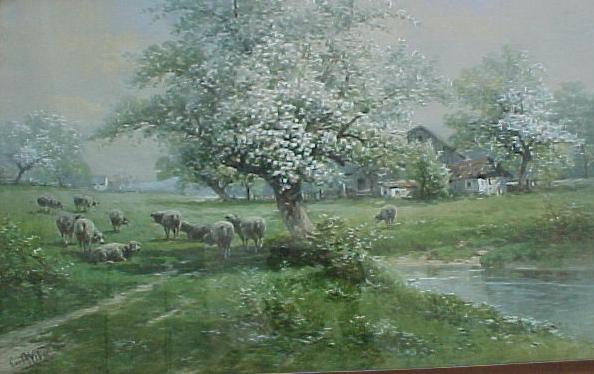 Carl Webber Sheep