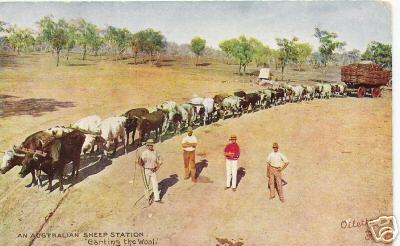 Carting of Wool at an Australian Sheep Station