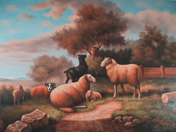 Charming Sheep Scene