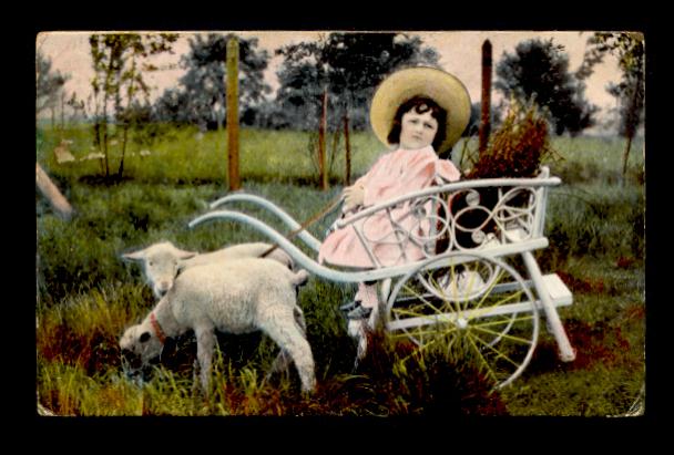 Child in a Lamb Cart