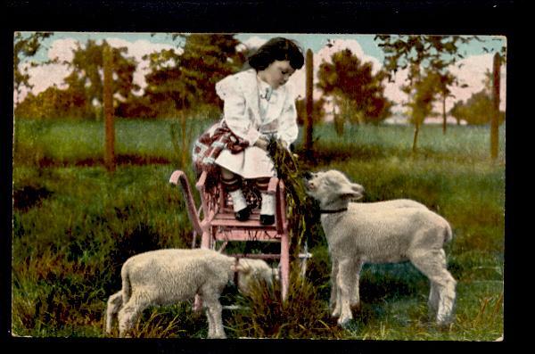 Child on Carriage Feeds 3 Lambs