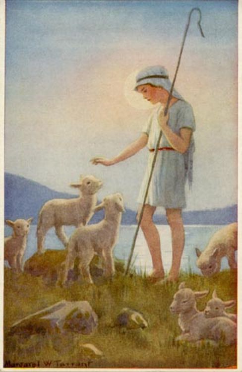 Child Shepherd and Sheep
