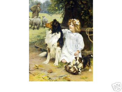 Child with Collie Pups Sheep and Shepherd