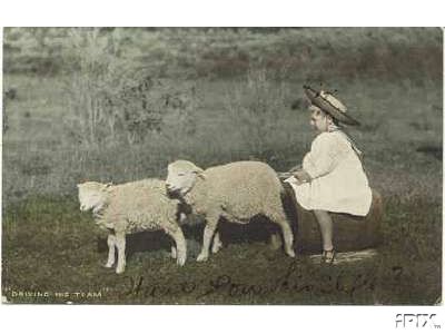 Child with Ewe Lambs