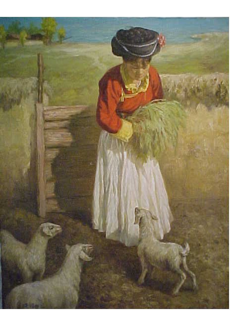 Chinese Woman Feeding Lambs