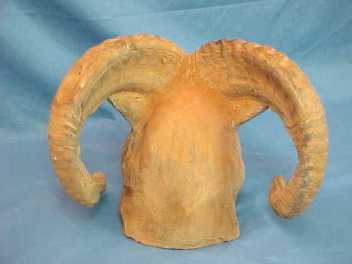 Clay Bust of a Ram Fine Art2