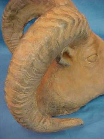 Clay Bust of a Ram Fine Art3