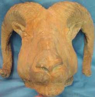 Clay Bust of a Ram Fine Art7