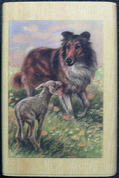 Collie with Lamb1
