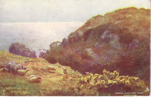 Cornwall Kynance Cove Sheep on Hill Tuck Bridgeman