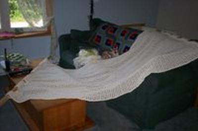 Crochet Hammock 2