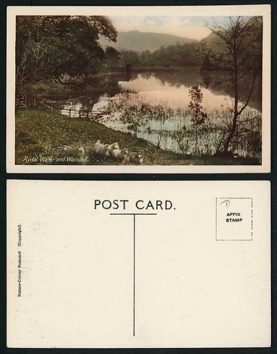 Cumbria Old Postcard Rydal Water Wansfell Sheep Lake