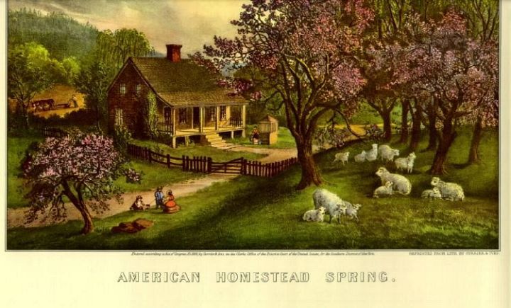Currier Apple Blossoms Sheep