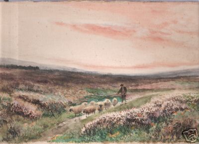 D Sherrin Watercolour Sheep on Moorland Track