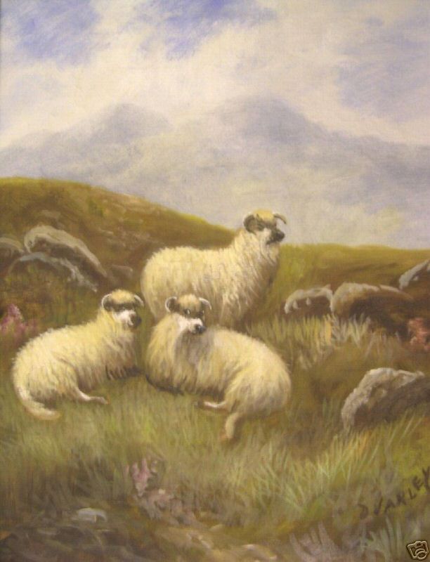 D Varley Oil Moorland Sheep