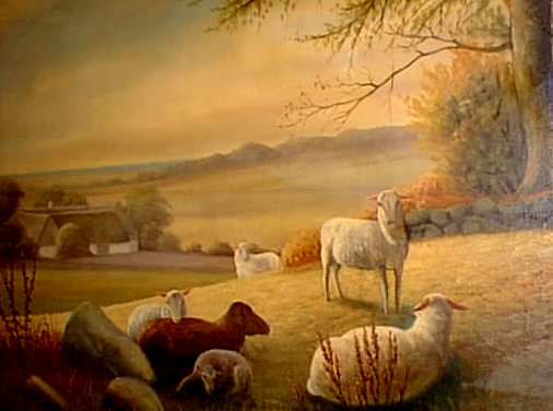 Danish Resting Sheep