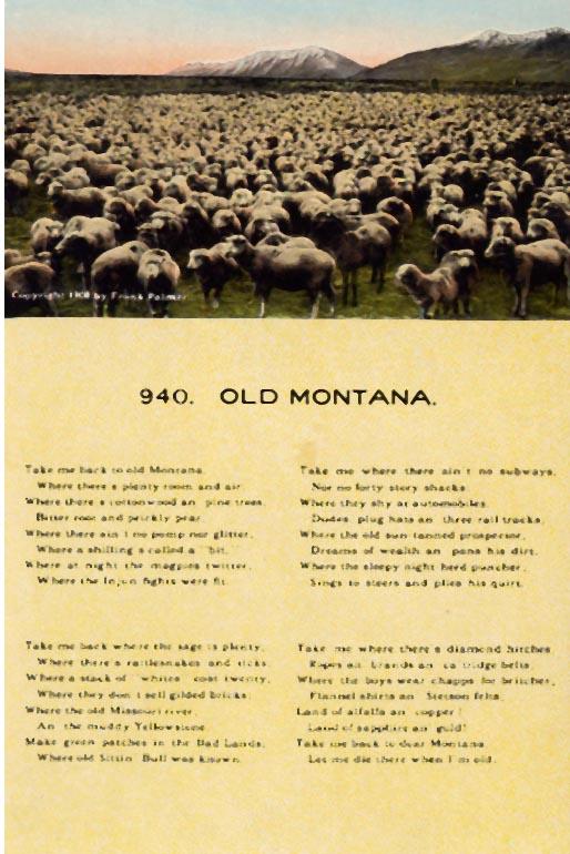 Deep Sheep in Montana