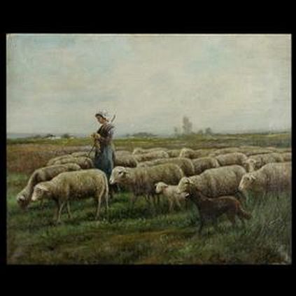 Dog Sheep Shepherdess Kntting Socks