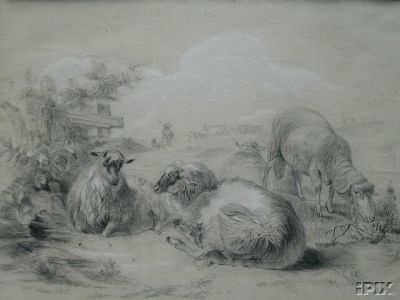 Drawing of Sheep in Pasture