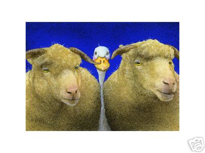 Duck Between the Sheeps