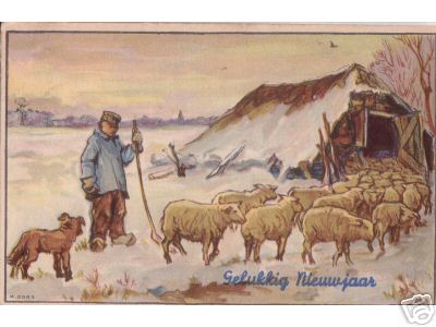 Dutch Shepherd with Sheep in Winter