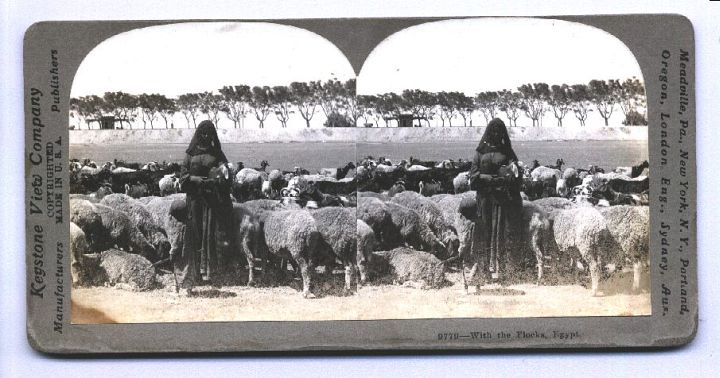 Egypt Woman with Baby and Sheep