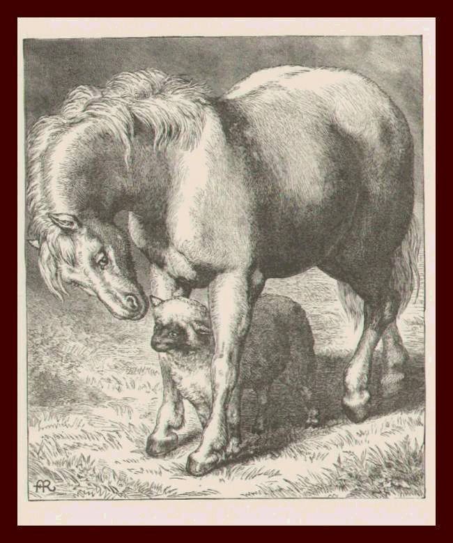 Engraving Draft Horse with Sheep