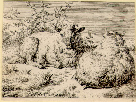 Etched Ram Lamb and Ewe Lamb