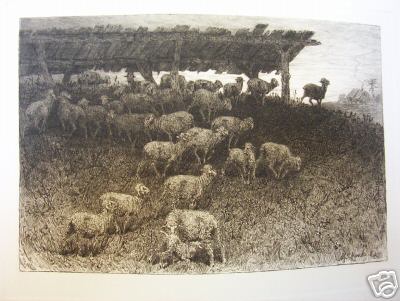 Etching J a S Monks Sheep Twilight 1883 Ny Etching