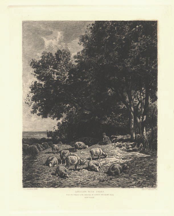 Etching Landscape with Sheep