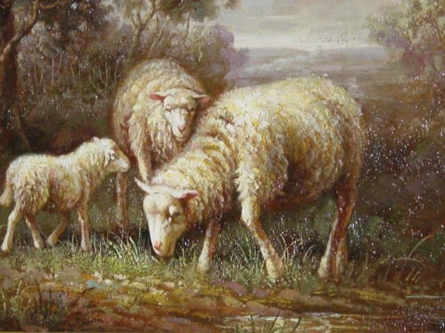 Ewe Ewe Lamb Lamb
