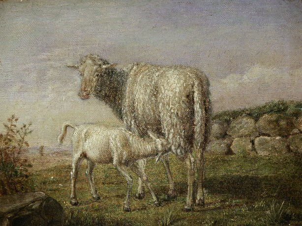 Ewe Feeding Lamb