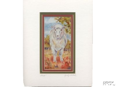 Ewe Watercolor Print