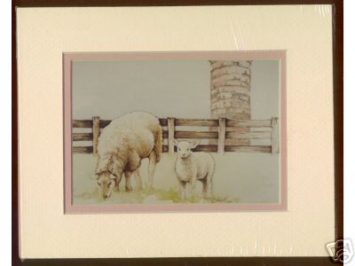 Ewe with 1 Lamb