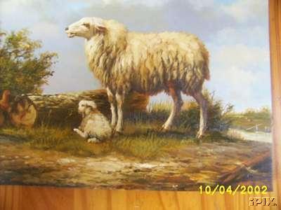 Ewe with Lamb1